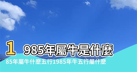 85屬什麼|1985年屬什麼生肖？海中金命？